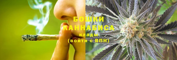 крисы Вяземский