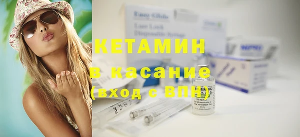 стаф Гатчина