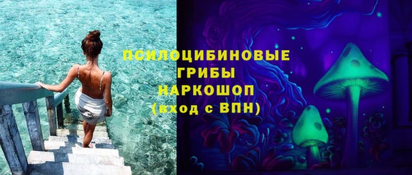 дживик Вязьма