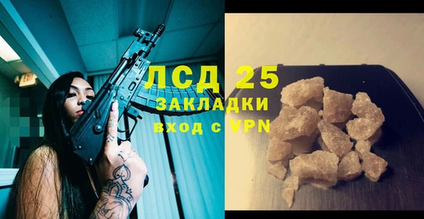 стаф Гатчина