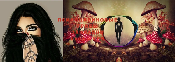 дживик Вязьма