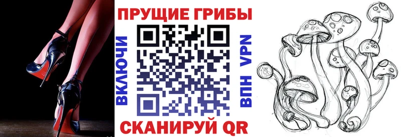 Галлюциногенные грибы ЛСД  купить наркотики цена  кракен tor  Гай 